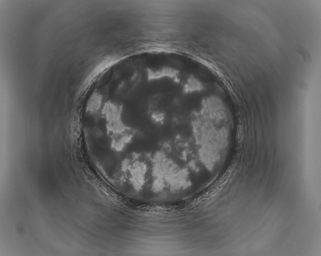 X0000110961359200907101319