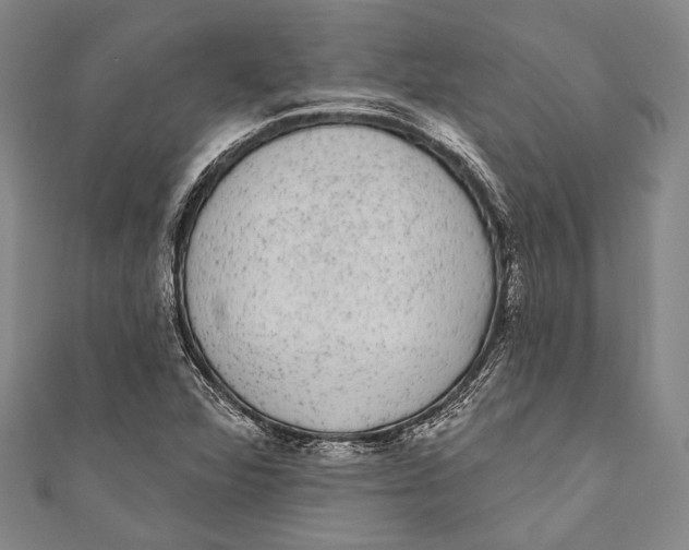 X0000110961360200907101319