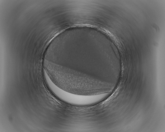 X0000110961361200907101319