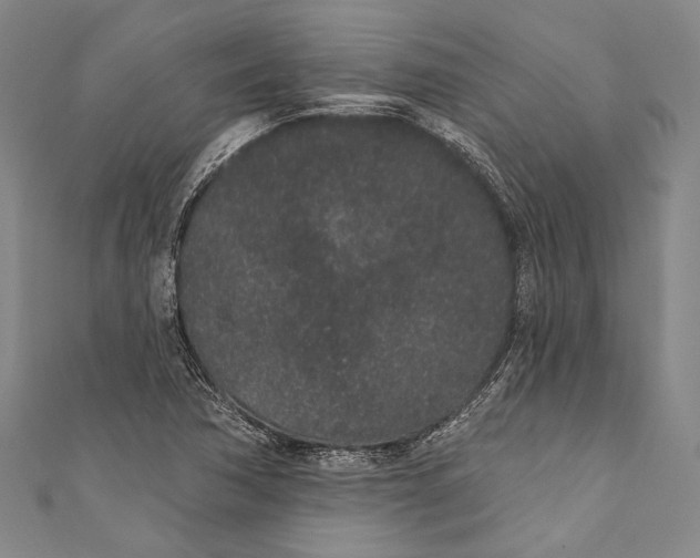 X0000110961362200907101319