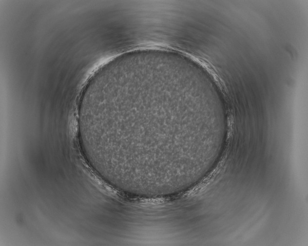 X0000110961363200907101319