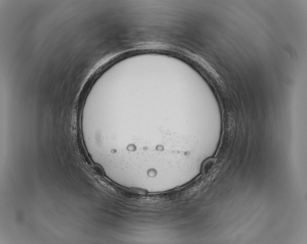 X0000110961364200907101319