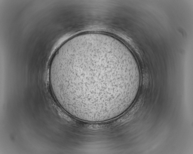 X0000110961366200907101319