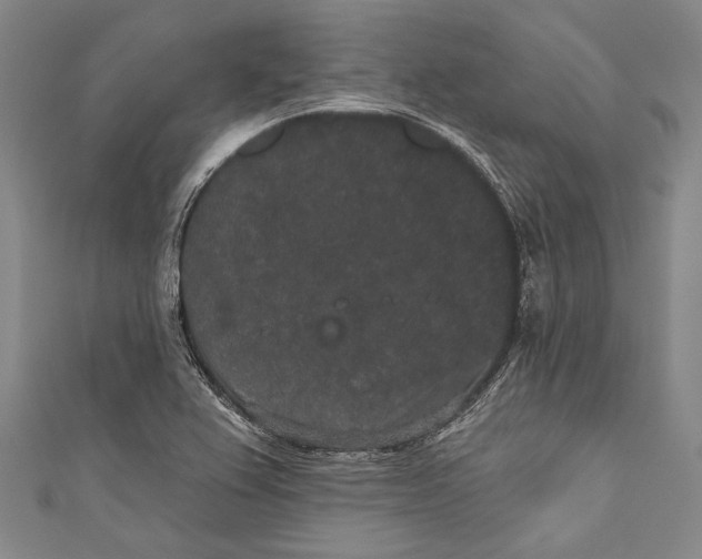 X0000110961367200907101319