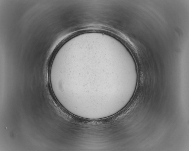 X0000110961368200907101319