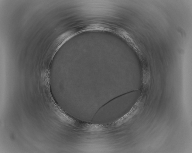 X0000110961369200907101319