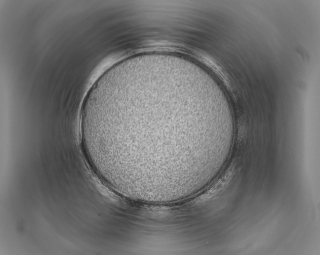 X0000110961370200907101319