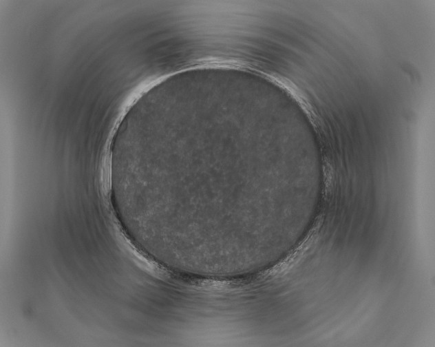 X0000110961371200907101319