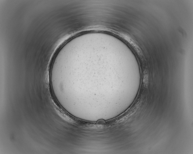 X0000110961372200907101319