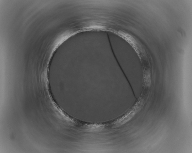 X0000110961373200907101319