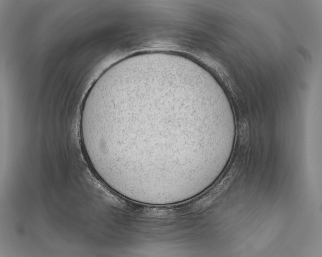 X0000110961374200907101319