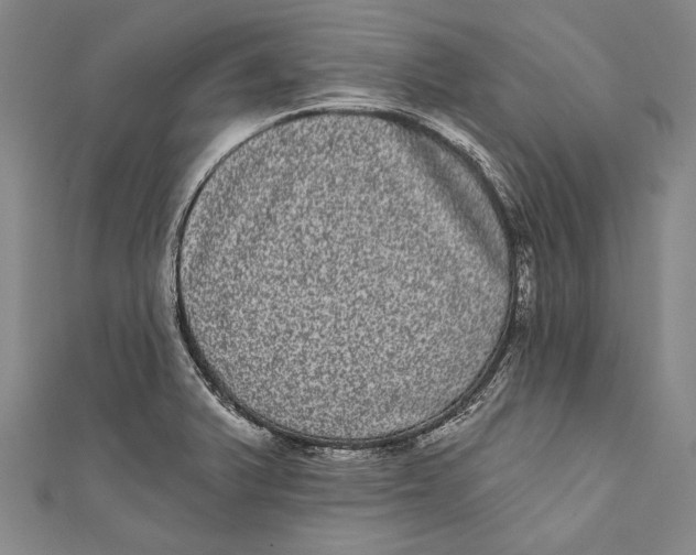 X0000110961375200907101319