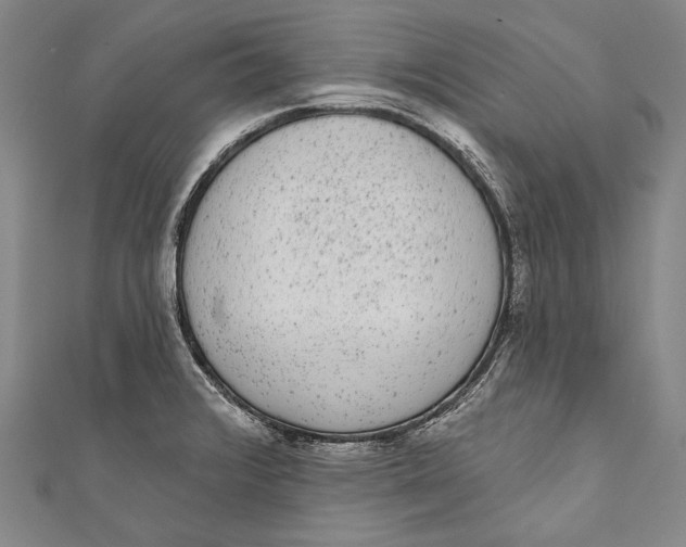 X0000110961376200907101319