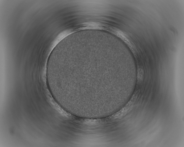 X0000110961378200907101319