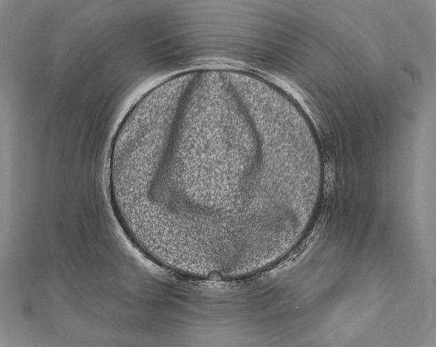 X0000110961379200907101318