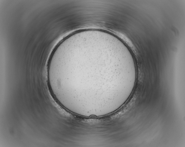 X0000110961380200907101318