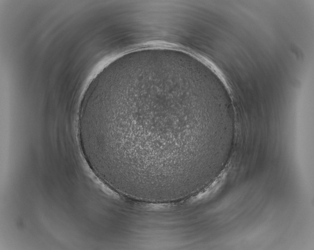 X0000110961381200907101318