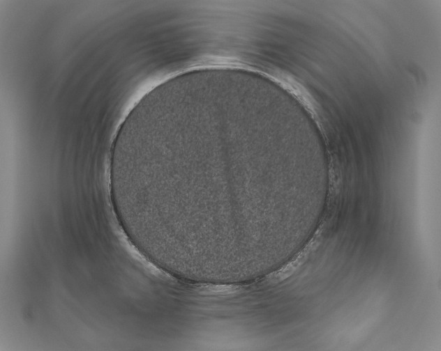 X0000110961382200907101318