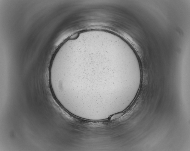 X0000110961384200907101318