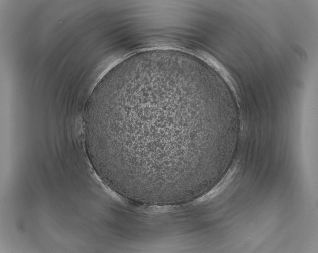 X0000110961385200907101318