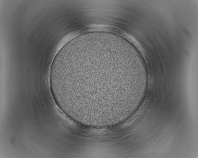 X0000110961386200907101318