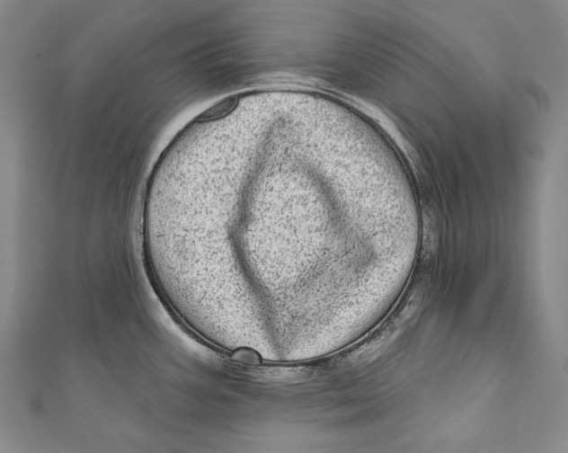 X0000110961387200907101318