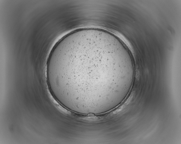 X0000110961388200907101318