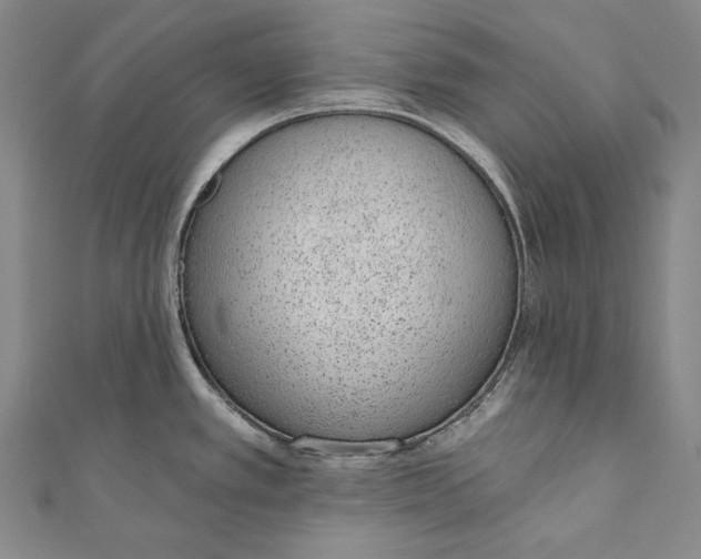 X0000110961389200907101318