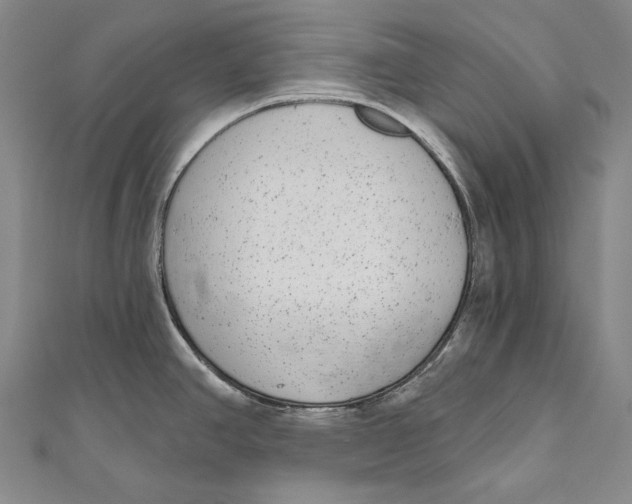 X0000110961390200907101318