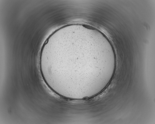 X0000110961392200907101318