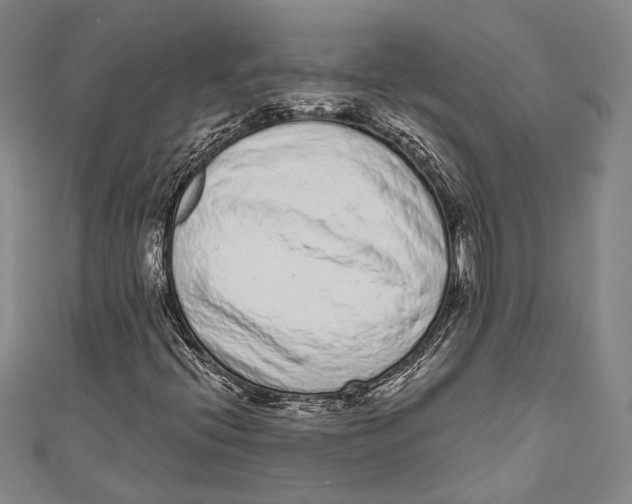 X0000110961396200907101318