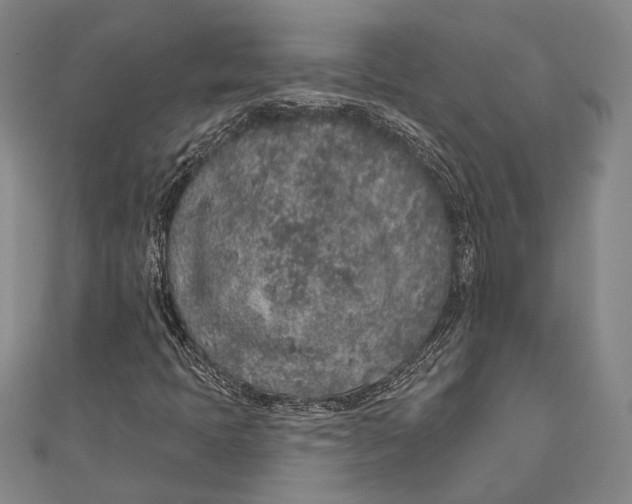 X0000110961397200907101318