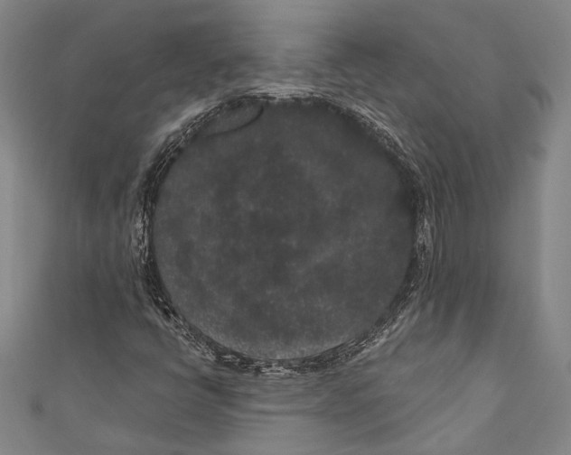 X0000110961398200907101318