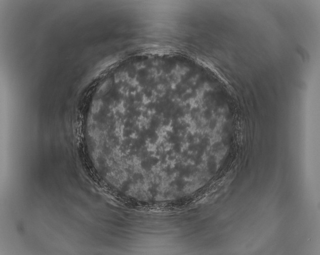 X0000110961399200907101318