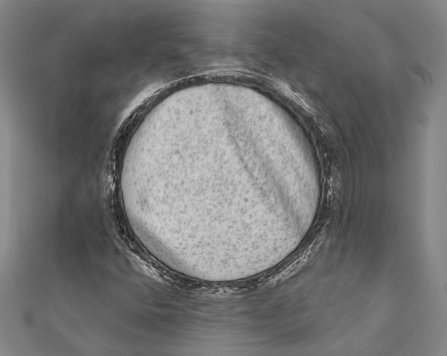 X0000110961400200907101318