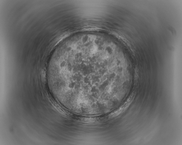 X0000110961401200907101318