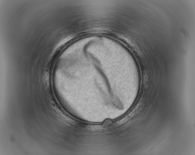 X0000110961402200907101318