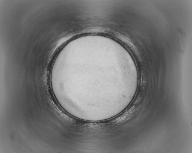 X0000110961404200907101318