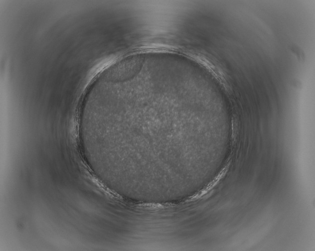 X0000110961405200907101318