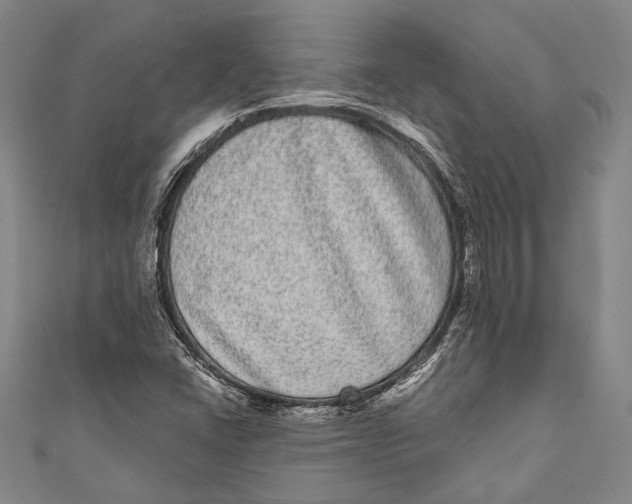 X0000110961406200907101318