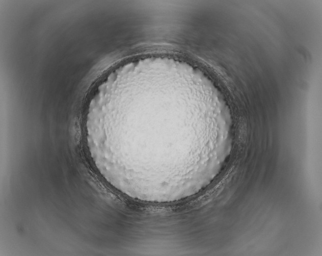 X0000110961407200907101318