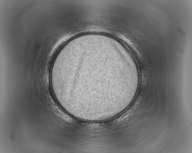 X0000110961408200907101318