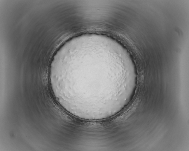 X0000110961409200907101318