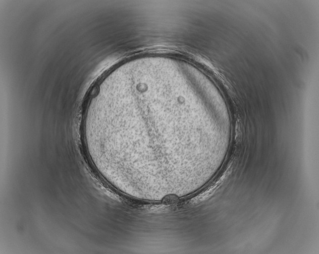 X0000110961410200907101318