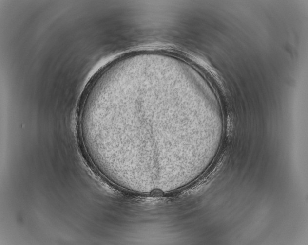 X0000110961412200907101318