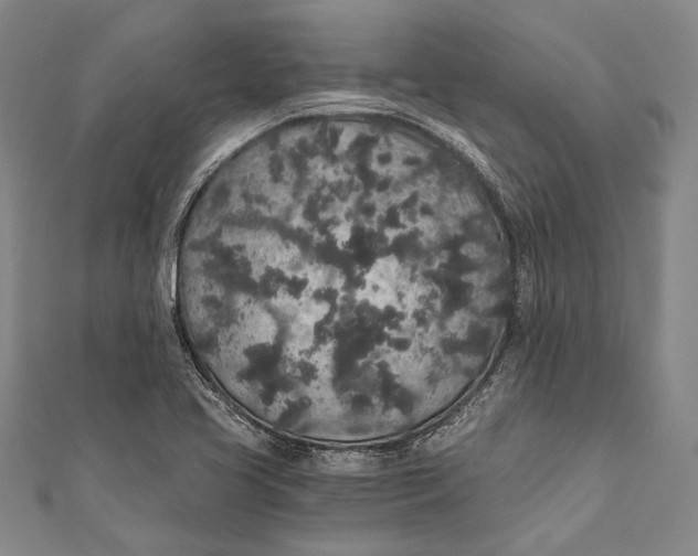 X0000110961413200907101318