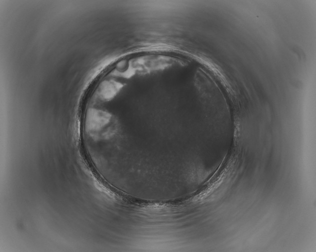 X0000110961414200907101318