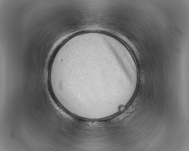 X0000110961416200907101318