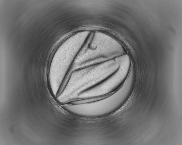 X0000110961417200907101318