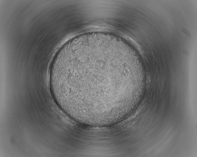 X0000110961419200907101318